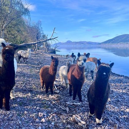 Balachladaich Loch Ness B&B Dores Buitenkant foto