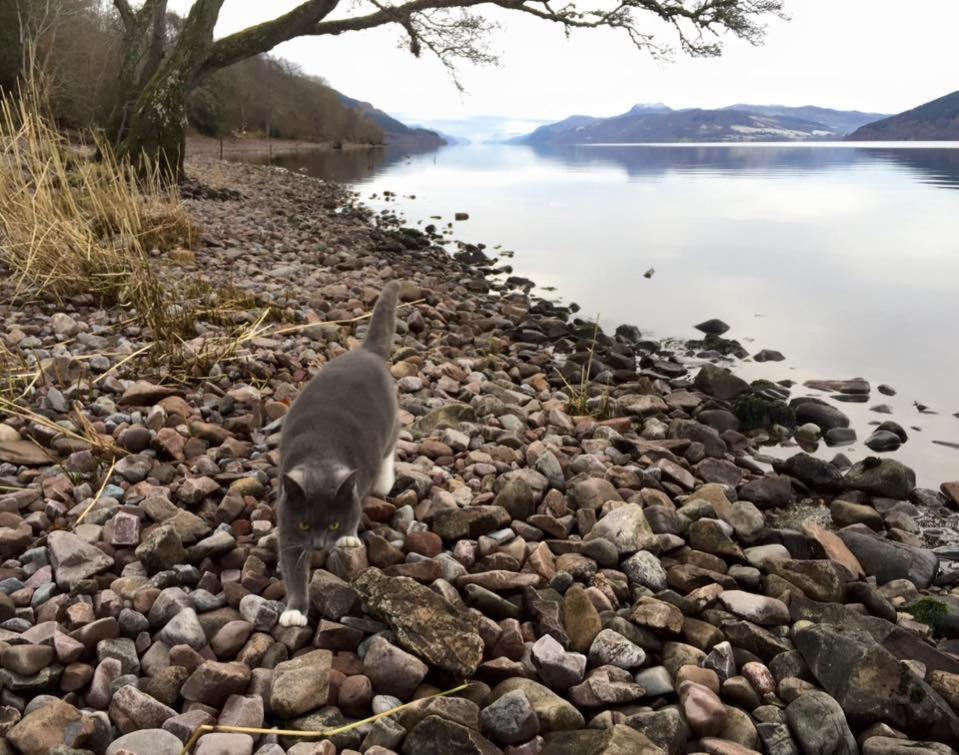 Balachladaich Loch Ness B&B Dores Buitenkant foto