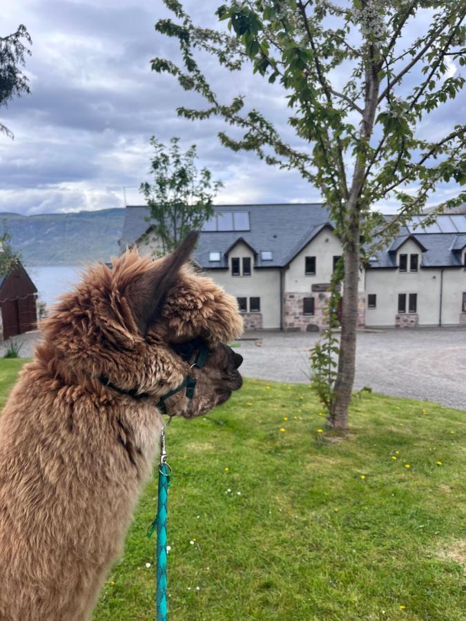 Balachladaich Loch Ness B&B Dores Buitenkant foto